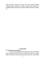 Referāts 'Sekss un kontracepcijas metodes', 7.