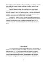 Referāts 'Sekss un kontracepcijas metodes', 12.