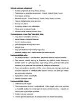 Diplomdarbs 'Reklāmas politikas pielietojuma izpēte tūrisma aģentūrā', 16.