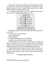 Diplomdarbs 'Reklāmas politikas pielietojuma izpēte tūrisma aģentūrā', 21.