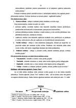 Diplomdarbs 'Reklāmas politikas pielietojuma izpēte tūrisma aģentūrā', 39.