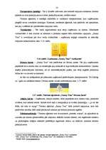 Diplomdarbs 'Reklāmas politikas pielietojuma izpēte tūrisma aģentūrā', 54.