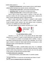 Diplomdarbs 'Reklāmas politikas pielietojuma izpēte tūrisma aģentūrā', 61.