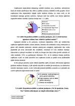 Diplomdarbs 'Reklāmas politikas pielietojuma izpēte tūrisma aģentūrā', 87.