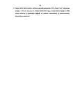 Diplomdarbs 'Reklāmas politikas pielietojuma izpēte tūrisma aģentūrā', 99.