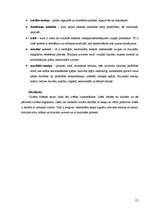 Diplomdarbs 'Mūzikas iespējas 5 un 6 gadu vecu bērnu iztēles veidošanā', 12.