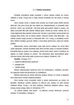 Diplomdarbs 'Mūzikas iespējas 5 un 6 gadu vecu bērnu iztēles veidošanā', 21.