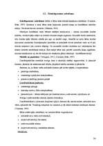 Diplomdarbs 'Mūzikas iespējas 5 un 6 gadu vecu bērnu iztēles veidošanā', 24.