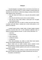 Diplomdarbs 'Mūzikas iespējas 5 un 6 gadu vecu bērnu iztēles veidošanā', 65.