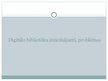 Prezentācija 'Digitālās bibliotēkas', 12.