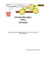 Konspekts 'Valodas sistēmas nepietiekamas attīstības strukturālais plāns', 1.