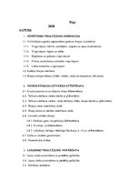 Konspekts 'Valodas sistēmas nepietiekamas attīstības strukturālais plāns', 2.