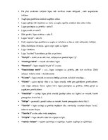 Konspekts 'Valodas sistēmas nepietiekamas attīstības strukturālais plāns', 10.