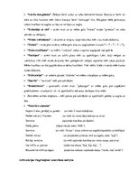 Konspekts 'Valodas sistēmas nepietiekamas attīstības strukturālais plāns', 13.