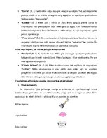 Konspekts 'Valodas sistēmas nepietiekamas attīstības strukturālais plāns', 17.