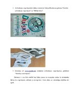 Konspekts 'Valodas sistēmas nepietiekamas attīstības strukturālais plāns', 22.