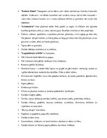 Konspekts 'Valodas sistēmas nepietiekamas attīstības strukturālais plāns', 29.