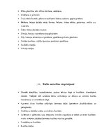 Konspekts 'Valodas sistēmas nepietiekamas attīstības strukturālais plāns', 30.