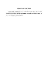 Konspekts 'Valodas sistēmas nepietiekamas attīstības strukturālais plāns', 37.