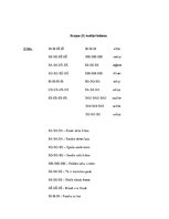 Konspekts 'Valodas sistēmas nepietiekamas attīstības strukturālais plāns', 39.