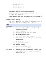 Konspekts 'Valodas sistēmas nepietiekamas attīstības strukturālais plāns', 40.