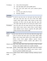 Konspekts 'Valodas sistēmas nepietiekamas attīstības strukturālais plāns', 42.