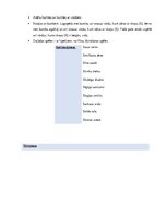 Konspekts 'Valodas sistēmas nepietiekamas attīstības strukturālais plāns', 43.