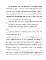 Konspekts 'Valodas sistēmas nepietiekamas attīstības strukturālais plāns', 52.