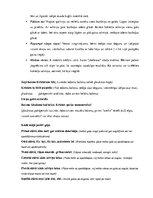 Konspekts 'Valodas sistēmas nepietiekamas attīstības strukturālais plāns', 58.