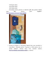 Konspekts 'Valodas sistēmas nepietiekamas attīstības strukturālais plāns', 65.