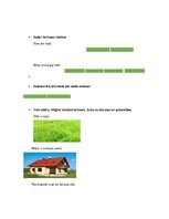 Konspekts 'Valodas sistēmas nepietiekamas attīstības strukturālais plāns', 71.