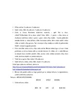 Konspekts 'Valodas sistēmas nepietiekamas attīstības strukturālais plāns', 73.