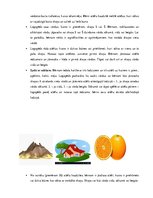 Konspekts 'Valodas sistēmas nepietiekamas attīstības strukturālais plāns', 76.