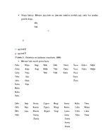 Konspekts 'Valodas sistēmas nepietiekamas attīstības strukturālais plāns', 81.