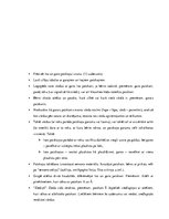 Konspekts 'Valodas sistēmas nepietiekamas attīstības strukturālais plāns', 84.