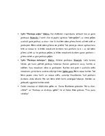 Konspekts 'Valodas sistēmas nepietiekamas attīstības strukturālais plāns', 87.