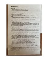 Konspekts 'Valodas sistēmas nepietiekamas attīstības strukturālais plāns', 106.