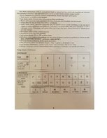 Konspekts 'Valodas sistēmas nepietiekamas attīstības strukturālais plāns', 107.