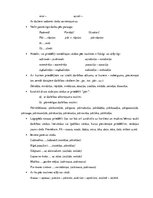 Konspekts 'Valodas sistēmas nepietiekamas attīstības strukturālais plāns', 120.