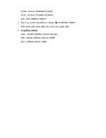 Konspekts 'Valodas sistēmas nepietiekamas attīstības strukturālais plāns', 128.