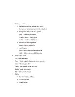 Konspekts 'Valodas sistēmas nepietiekamas attīstības strukturālais plāns', 132.