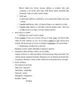 Konspekts 'Valodas sistēmas nepietiekamas attīstības strukturālais plāns', 133.