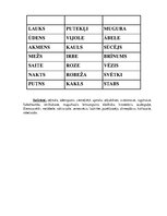 Konspekts 'Valodas sistēmas nepietiekamas attīstības strukturālais plāns', 138.