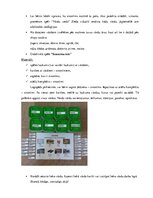 Konspekts 'Valodas sistēmas nepietiekamas attīstības strukturālais plāns', 142.