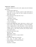 Konspekts 'Valodas sistēmas nepietiekamas attīstības strukturālais plāns', 145.