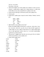 Konspekts 'Valodas sistēmas nepietiekamas attīstības strukturālais plāns', 146.