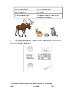 Konspekts 'Valodas sistēmas nepietiekamas attīstības strukturālais plāns', 153.