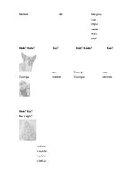 Konspekts 'Valodas sistēmas nepietiekamas attīstības strukturālais plāns', 154.