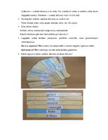 Konspekts 'Valodas sistēmas nepietiekamas attīstības strukturālais plāns', 165.