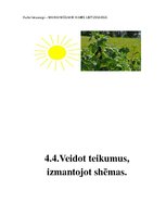 Konspekts 'Valodas sistēmas nepietiekamas attīstības strukturālais plāns', 169.